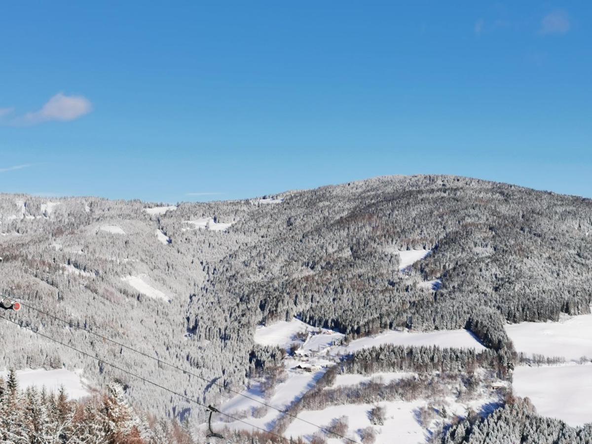Alpengasthof Fernblick Mönichkirchen Eksteriør billede