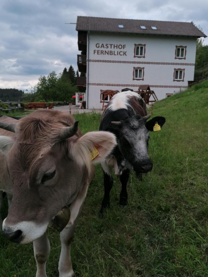 Alpengasthof Fernblick Mönichkirchen Eksteriør billede